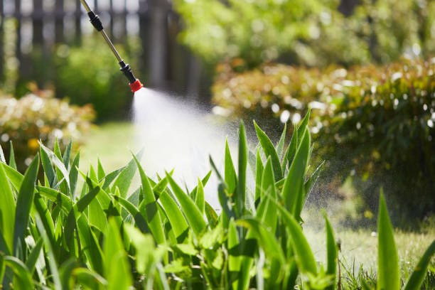 24/7 Emergency Wasp Removal experts in Monmouth, IL