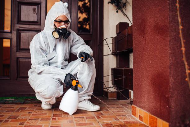 Reliable Wasp Removal contractor in Monmouth, IL by Show Me Pest Control
