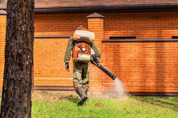Top rated local Wasp Removal specialists in Monmouth, IL